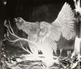 Glasgravur: Auerhahn