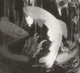 Glasgravur: Fische