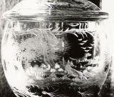 Glasgravur: Fuchsjagd