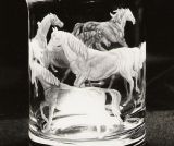 Glasgravur: Pferde