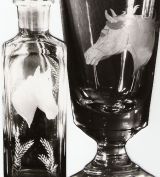 Glasgravur: Pferdekopf