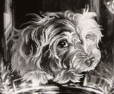 Glasgravur: Portrait-Dackelkopf