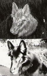 Glasgravur: Portrait-Hundekopf