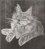 Glasgravur: Portrait-Katze-Langhaar