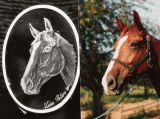 Glasgravur: Portrait-Pferdekopf
