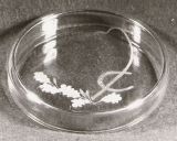 Glasgravur: Reitgerte