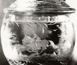 Glasgravur: Reitjagd