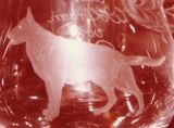 Glasgravur: Sch�ferhund