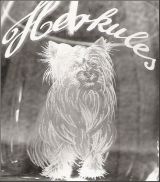 Glasgravur: Yorkshire